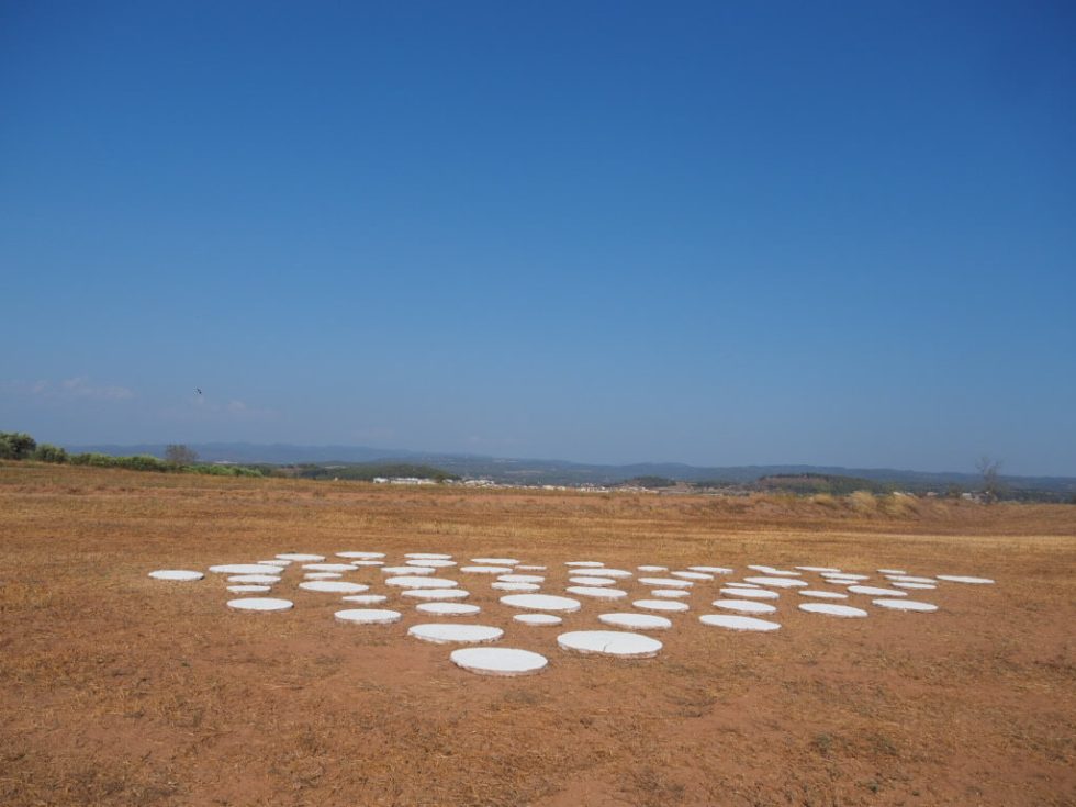 NenÃºfar De Terra 07